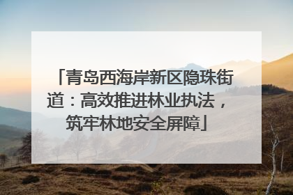 青岛西海岸新区隐珠街道：高效推进林业执法，筑牢林地安全屏障