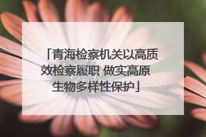 青海检察机关以高质效检察履职 做实高原生物多样性保护