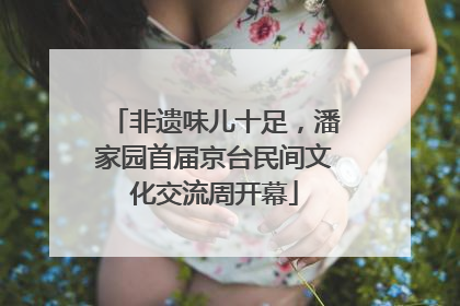 非遗味儿十足，潘家园首届京台民间文化交流周开幕