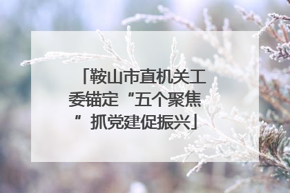 鞍山市直机关工委锚定“五个聚焦”抓党建促振兴