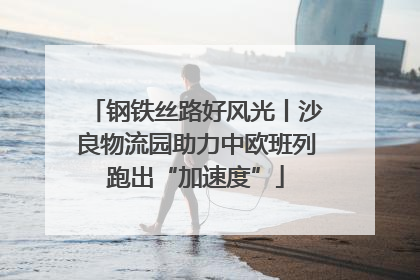 钢铁丝路好风光丨沙良物流园助力中欧班列跑出“加速度”