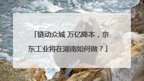 链动众城 万亿降本，京东工业将在湖南如何做？