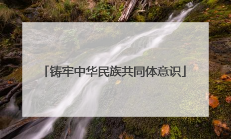 铸牢中华民族共同体意识