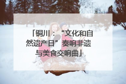 铜川：“文化和自然遗产日”奏响非遗与美食交响曲