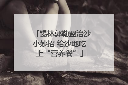 锡林郭勒盟治沙小妙招 给沙地吃上“营养餐”