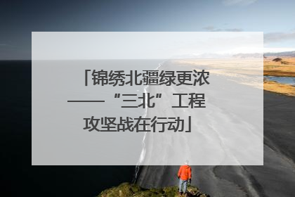 锦绣北疆绿更浓——“三北”工程攻坚战在行动