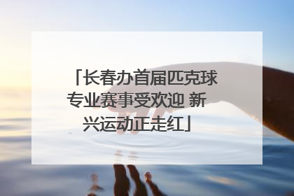 长春办首届匹克球专业赛事受欢迎 新兴运动正走红