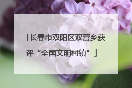 长春市双阳区双营乡获评“全国文明村镇”