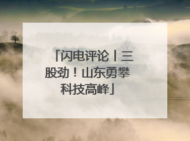 闪电评论丨三股劲！山东勇攀科技高峰