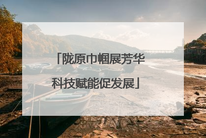 陇原巾帼展芳华 科技赋能促发展