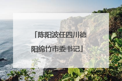 陈阳波任四川德阳绵竹市委书记