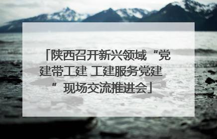 陕西召开新兴领域“党建带工建 工建服务党建”现场交流推进会