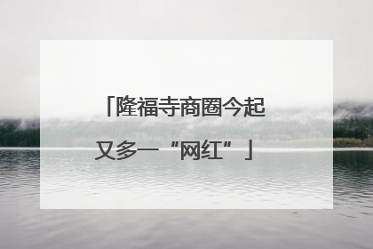 隆福寺商圈今起又多一“网红”