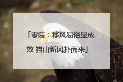 零陵：移风易俗显成效 岿山新风扑面来