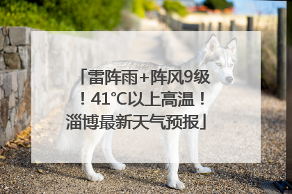雷阵雨+阵风9级！41℃以上高温！淄博最新天气预报
