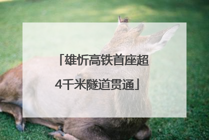 雄忻高铁首座超4千米隧道贯通
