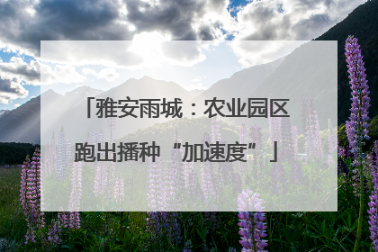 雅安雨城：农业园区跑出播种“加速度”