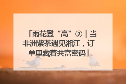雨花登“高”②｜当非洲紫茶遇见湘江，订单里藏着共富密码
