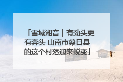 雪域湘音｜有劲头更有奔头 山南市桑日县的这个村落迎来蜕变