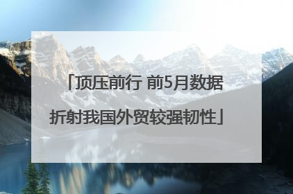 顶压前行 前5月数据折射我国外贸较强韧性