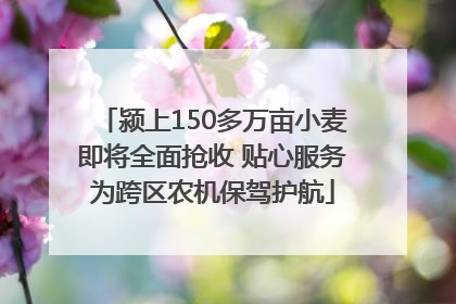 颍上150多万亩小麦即将全面抢收 贴心服务为跨区农机保驾护航