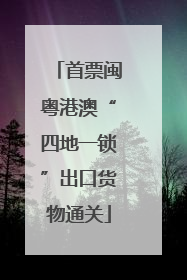 首票闽粤港澳“四地一锁”出口货物通关