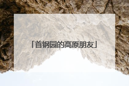 首钢园的高原朋友