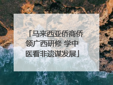 马来西亚侨商侨领广西研修 学中医看非遗谋发展