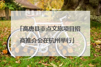 高唐县重点文旅项目招商推介会在杭州举行