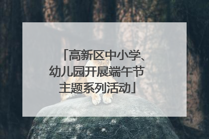 高新区中小学、幼儿园开展端午节主题系列活动