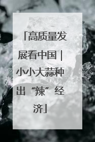高质量发展看中国｜小小大蒜种出“辣”经济