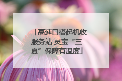 高速口搭起机收服务站 灵宝“三夏”保障有温度