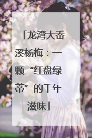 龙湾大岙溪杨梅：一颗“红盘绿蒂”的千年滋味