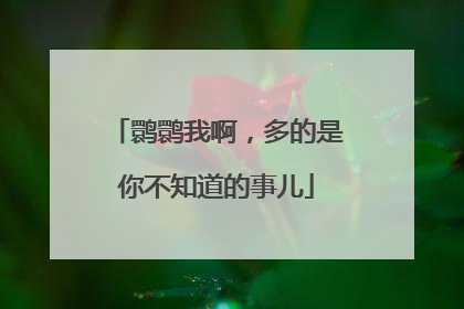 鹮鹮我啊，多的是你不知道的事儿