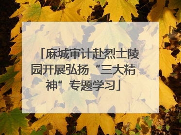 麻城审计赴烈士陵园开展弘扬“三大精神”专题学习