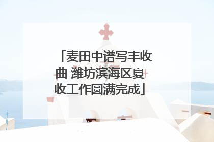 麦田中谱写丰收曲 潍坊滨海区夏收工作圆满完成