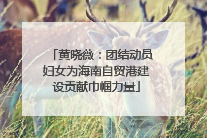 黄晓薇：团结动员妇女为海南自贸港建设贡献巾帼力量
