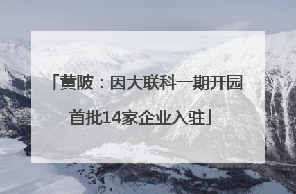 黄陂：因大联科一期开园 首批14家企业入驻