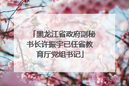 黑龙江省政府副秘书长许振宇已任省教育厅党组书记
