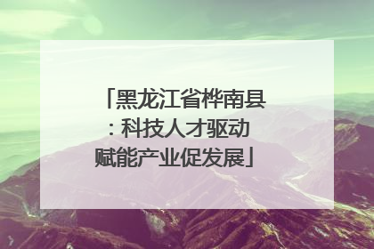 黑龙江省桦南县：科技人才驱动 赋能产业促发展