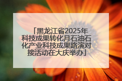 黑龙江省2025年科技成果转化月石油石化产业科技成果路演对接活动在大庆举办