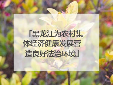 黑龙江为农村集体经济健康发展营造良好法治环境