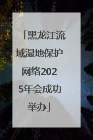 黑龙江流域湿地保护网络2025年会成功举办