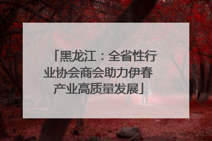 黑龙江：全省性行业协会商会助力伊春产业高质量发展