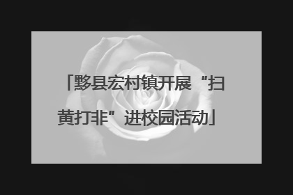 黟县宏村镇开展“扫黄打非”进校园活动