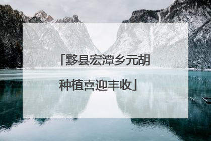 黟县宏潭乡元胡种植喜迎丰收