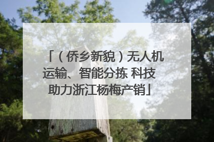 （侨乡新貌）无人机运输、智能分拣 科技助力浙江杨梅产销