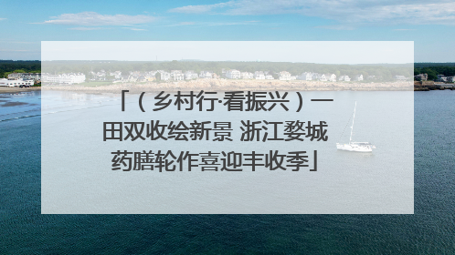 （乡村行·看振兴）一田双收绘新景 浙江婺城药膳轮作喜迎丰收季
