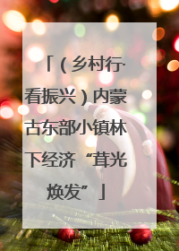（乡村行·看振兴）内蒙古东部小镇林下经济“茸光焕发”