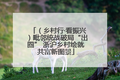 （乡村行·看振兴）毗邻统战破局“出圈” 浙沪乡村绘就共富新图景